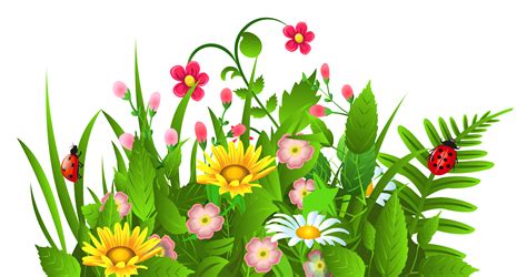 clipart plants and flowers|flower clip art free download.